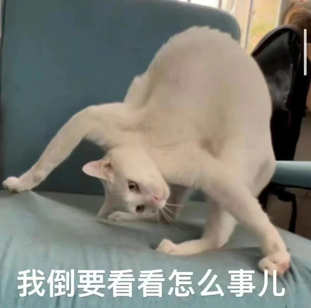 DƬ